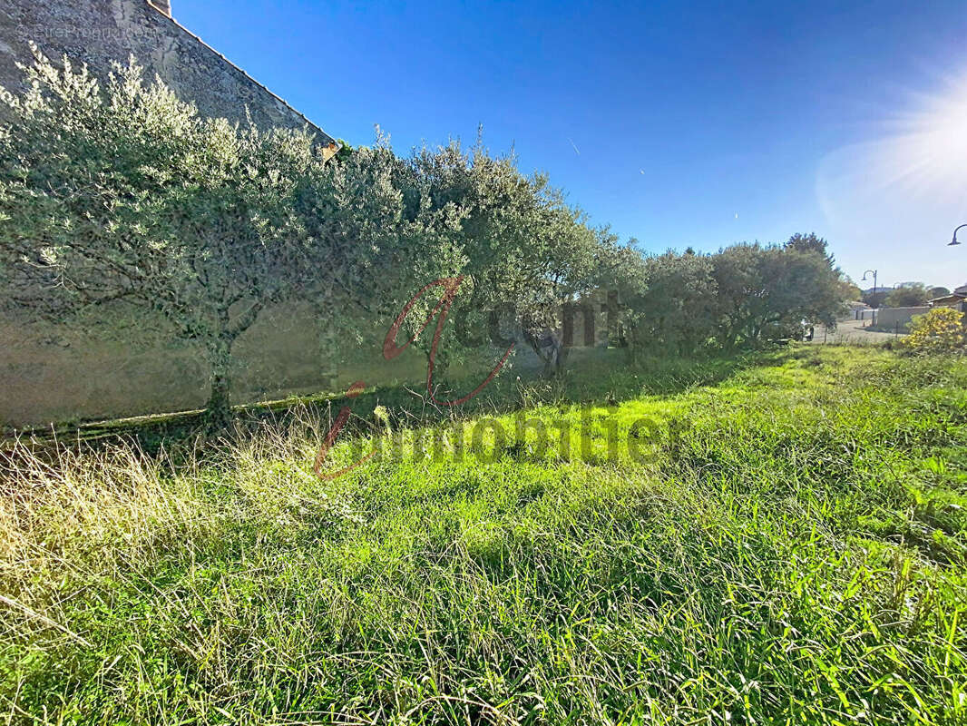 Terrain à CHEVAL-BLANC