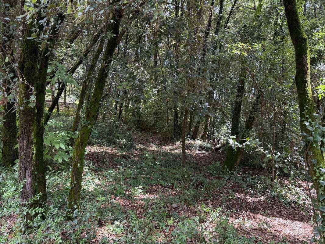 Terrain à bâtir à vendre 1032 m2  CENDRAS (30480) - photo 4