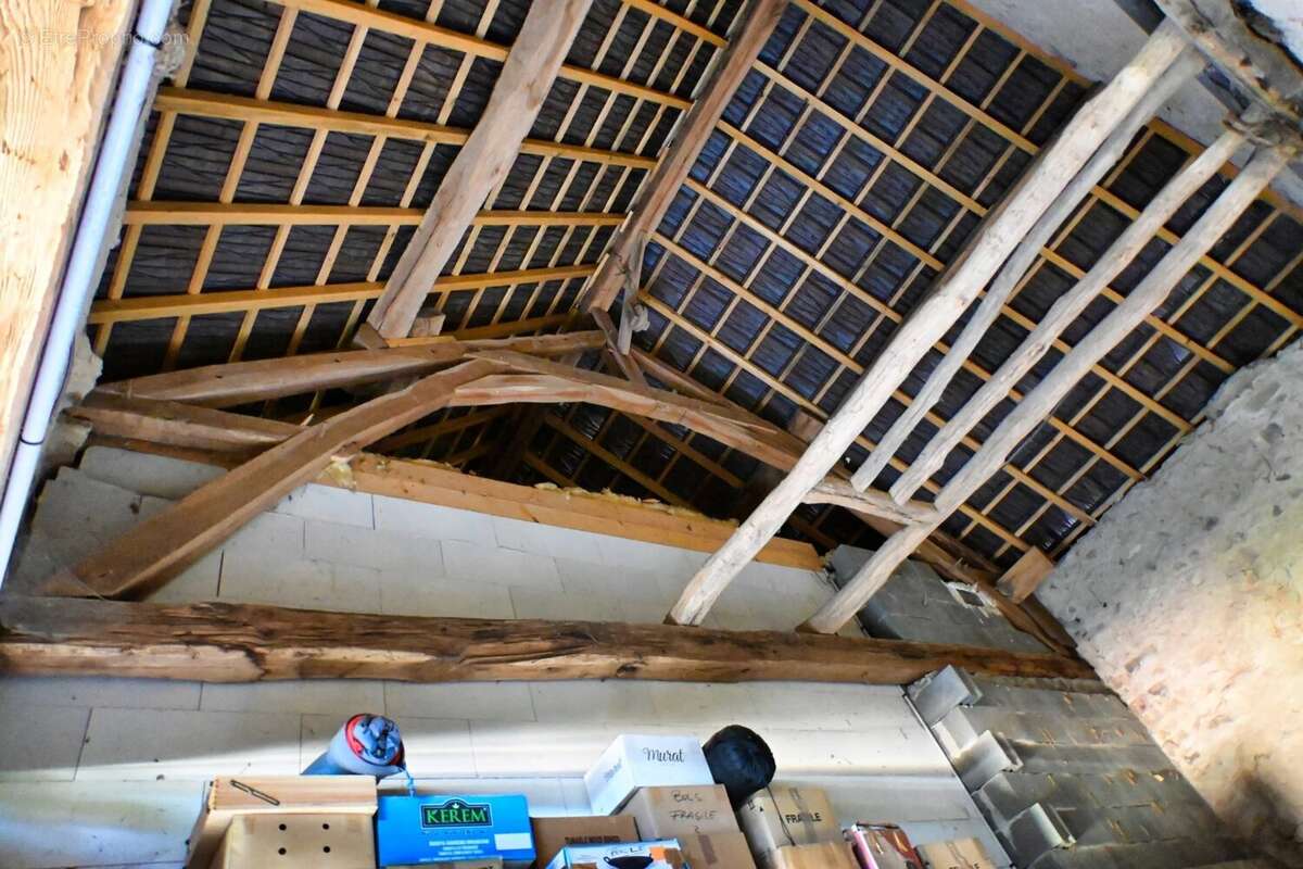Vente à Saint-Franchy (Nièvre): Maison de village idyllique - photo 43