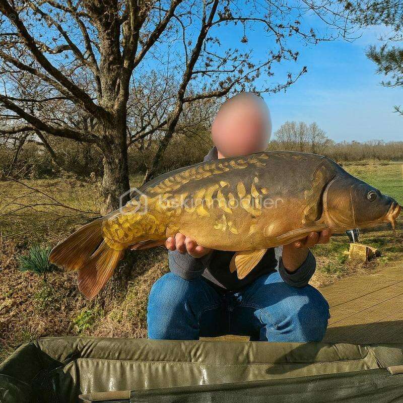 Terrain à SAVONNIERES