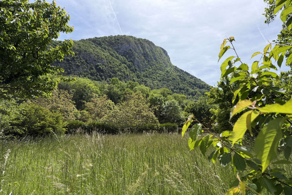 Terrain à DUINGT