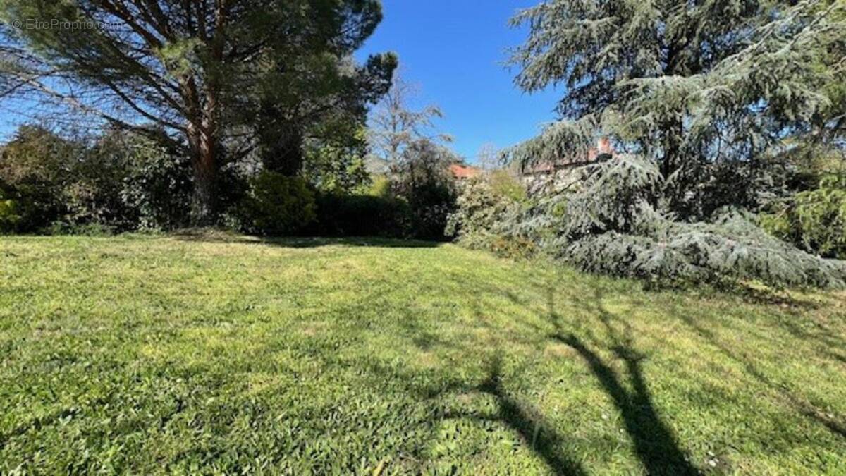 Photo 1 - Terrain à LA TOUR-DE-SALVAGNY