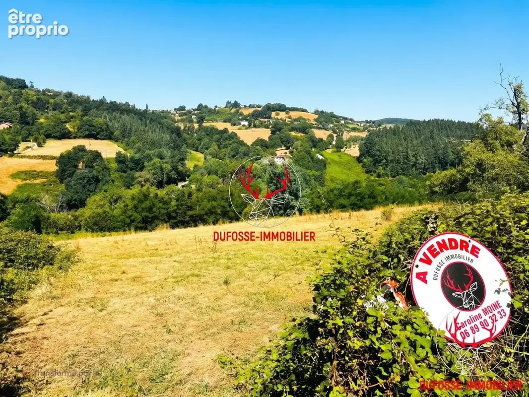 Terrain constructible et divisible avec vue panoramique - Cours (69470) - photo 4