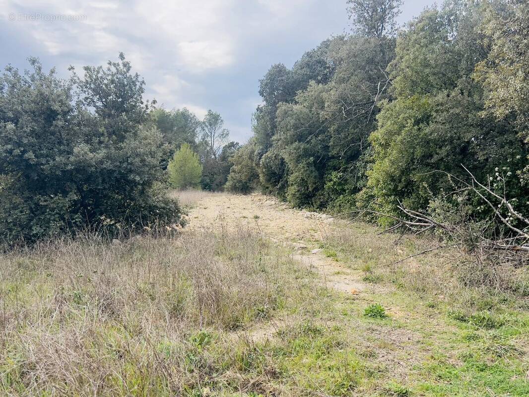 Terrain à SAINT-MAXIMIN-LA-SAINTE-BAUME