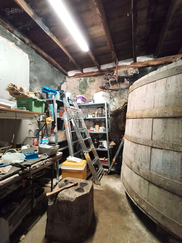 Maison à SERRIERES-DE-BRIORD