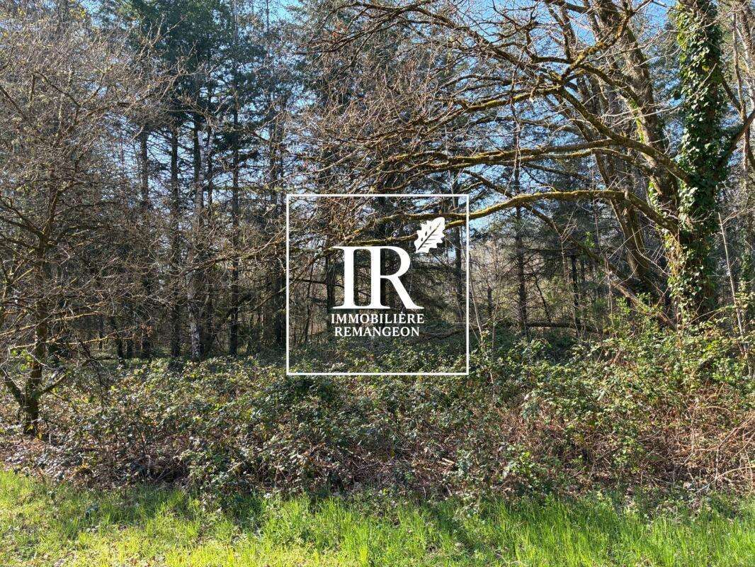 Propriete proche de lamotte beuvron - photo 9