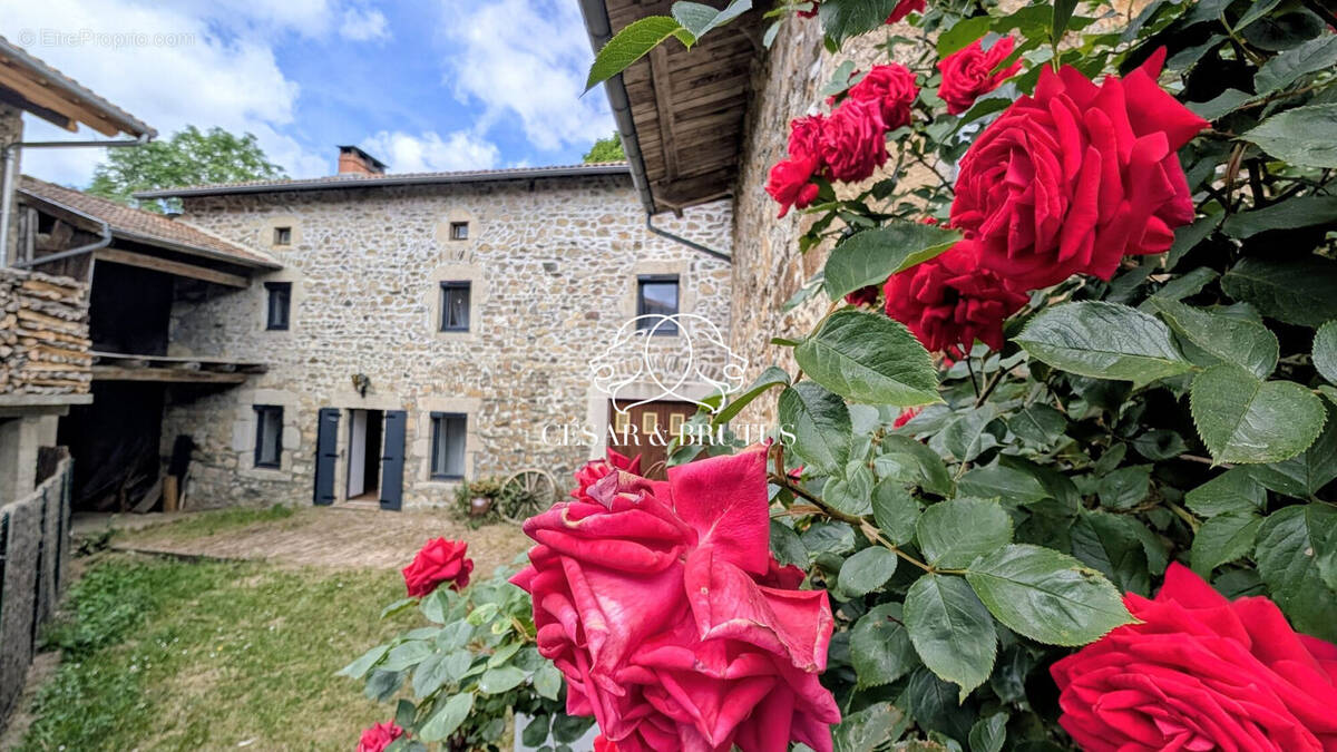 Maison à CISTRIERES