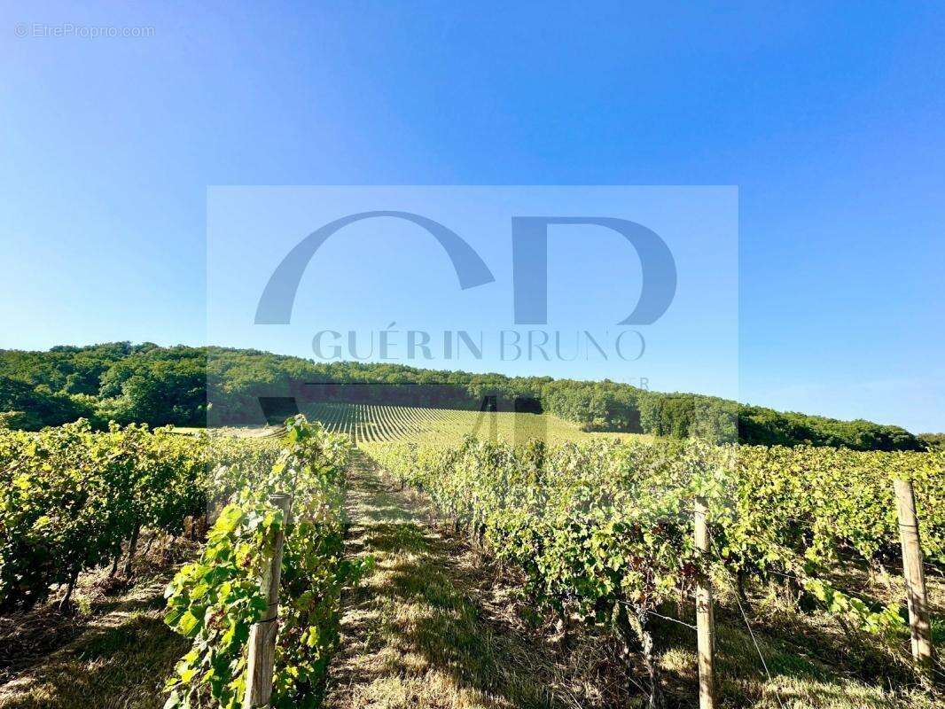 Maison à SAINTE-FOY-LA-GRANDE