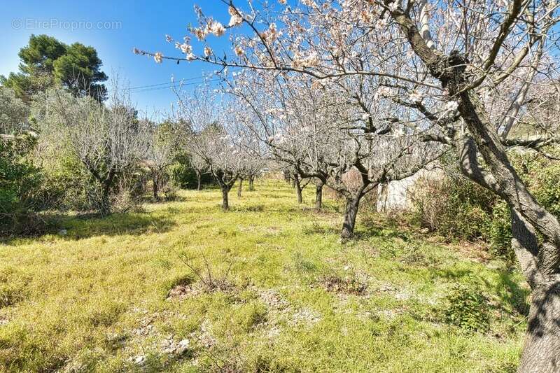 Terrain à CLERMONT-L&#039;HERAULT