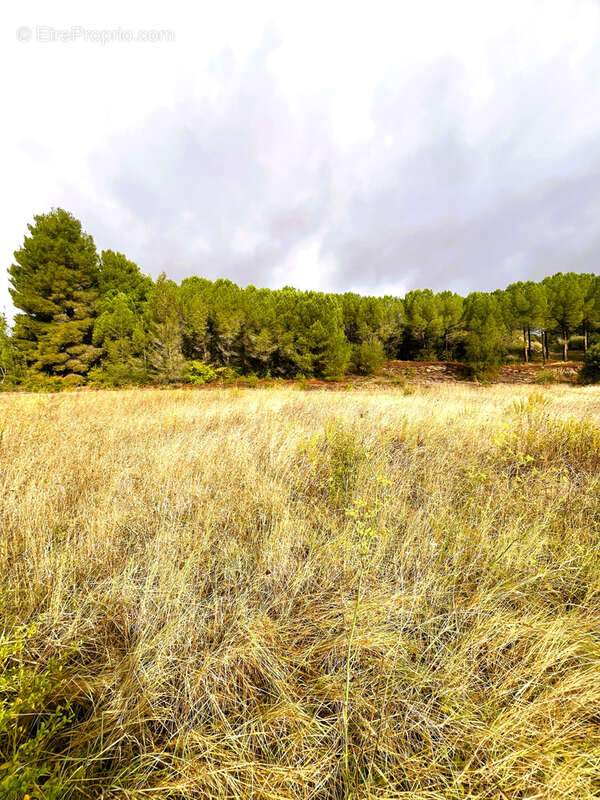 Terrain à LA DIGNE-D&#039;AMONT