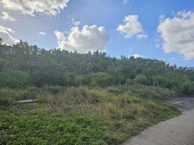 Terrain à LE DIAMANT