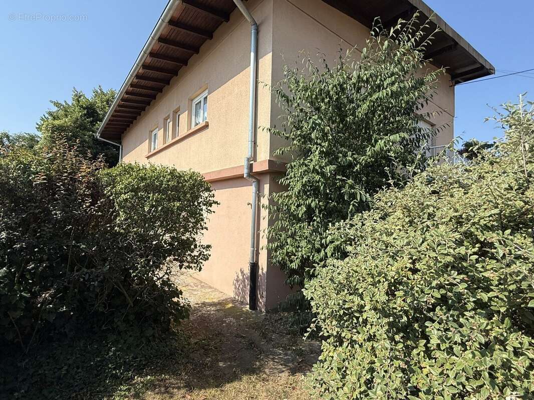 Maison à BIESHEIM