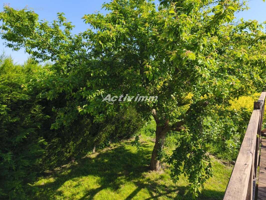 4262 9 - Maison à HUMIERES