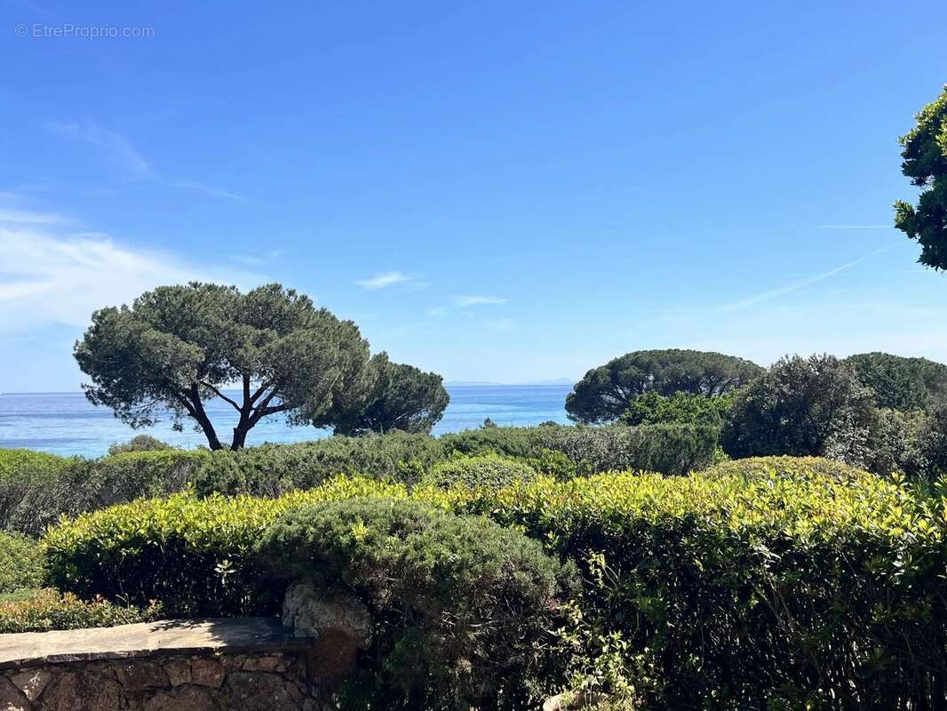 Maison à PORTO-VECCHIO