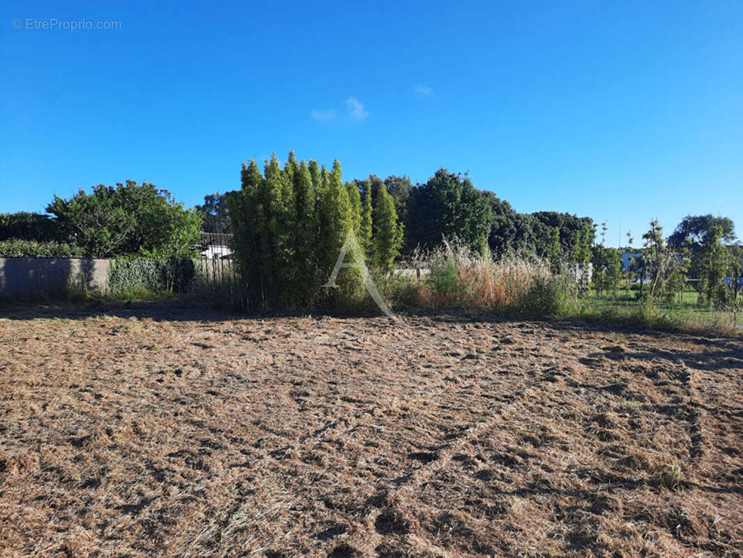 Terrain à LES SABLES-D&#039;OLONNE