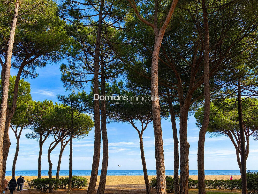Photo Appartement à Argeles-Sur-Mer au prix de 99 500€