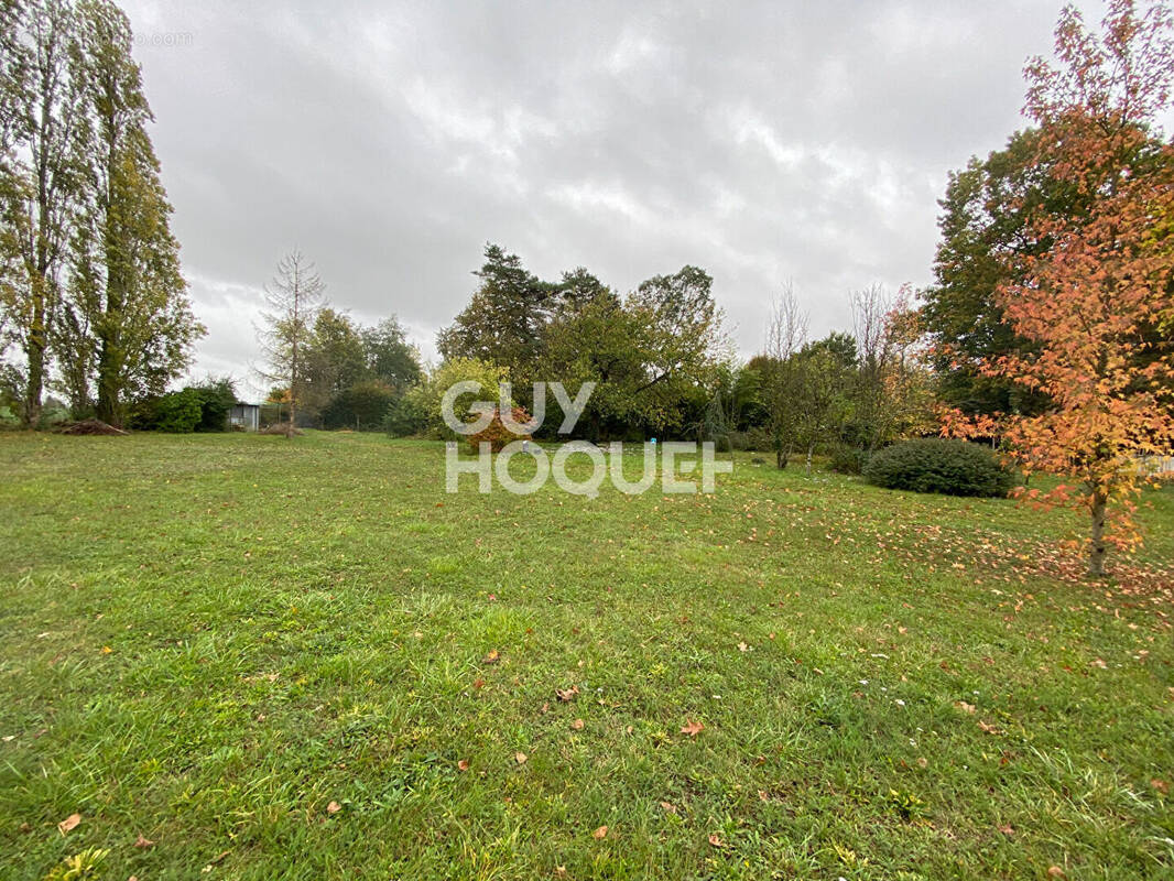 Maison à SAINT-CYR-SUR-LOIRE
