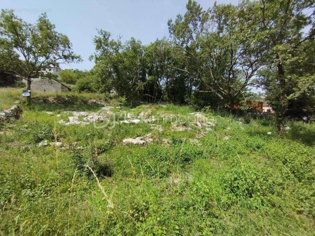 Terrain constructible - photo 4