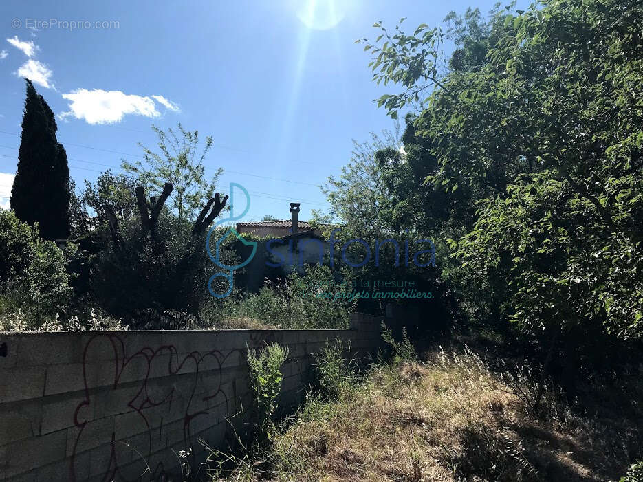 Saint-jean-de-védas   propriété rare à réhabiliter sur 4 835 m2 - photo 4