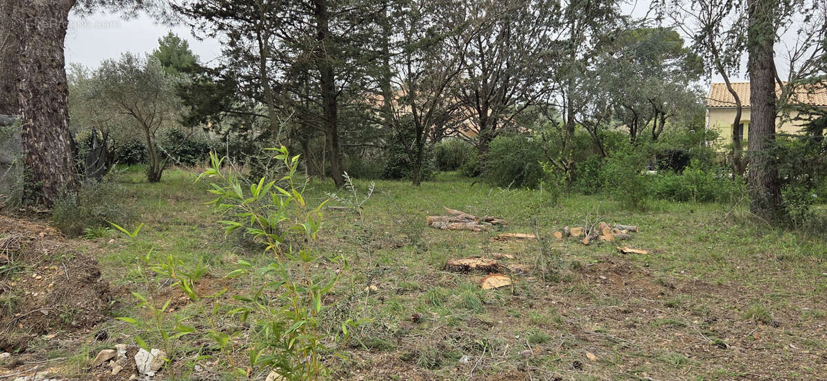 Terrain à SAINT-JEAN-DE-FOS