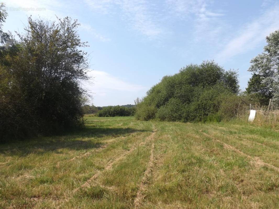 Terrain à LE PIZOU
