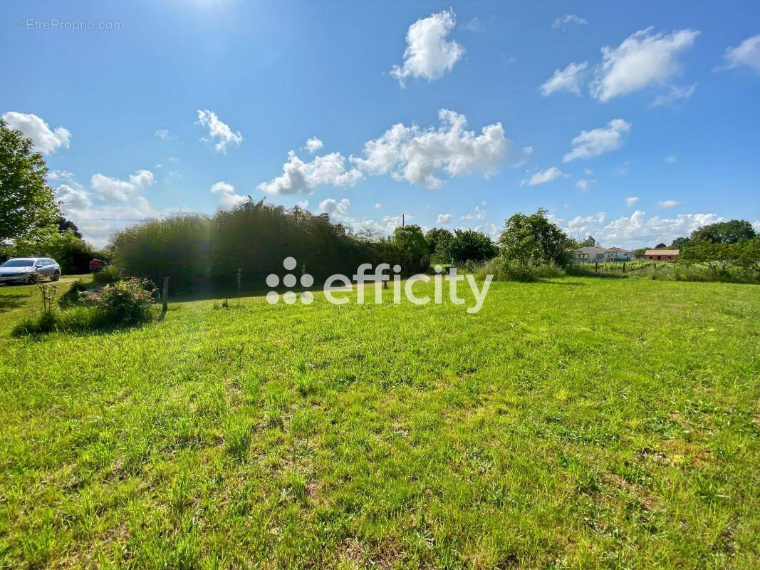 Terrain à PUGNAC