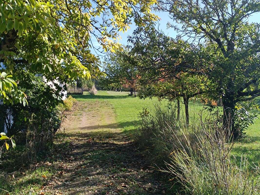 Photo 4 - Maison à MYENNES