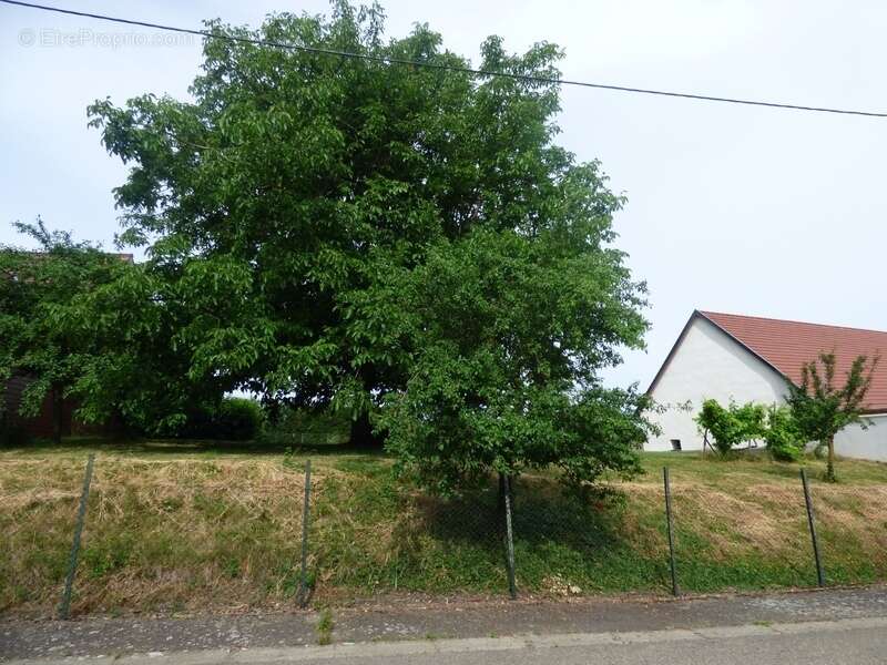 Terrain à LUPSTEIN