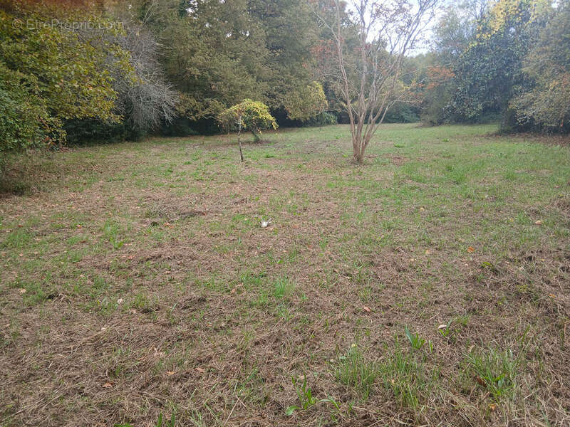 Terrain à CREON