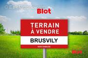 Terrain à BRUSVILY