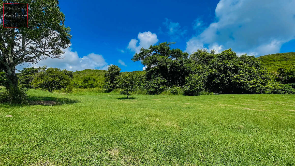 Terrain de 1 090 m2 à vendre - Sainte-Anne - photo 4