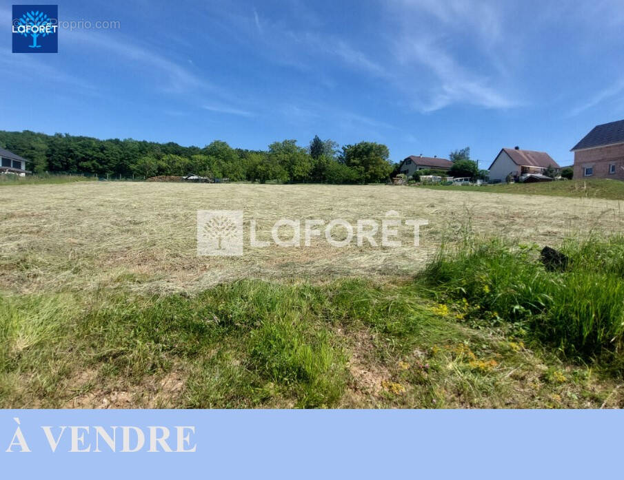 Terrain à MONTBOUTON