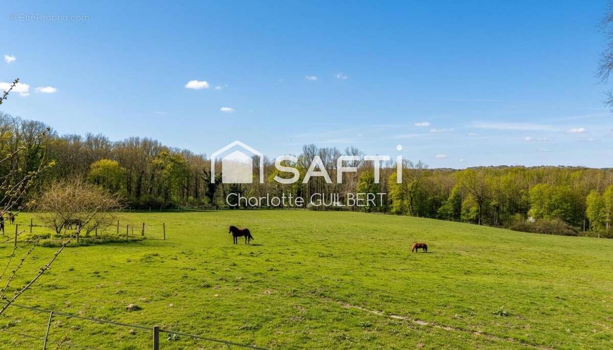 Photo 3 - Maison à CASTELJALOUX