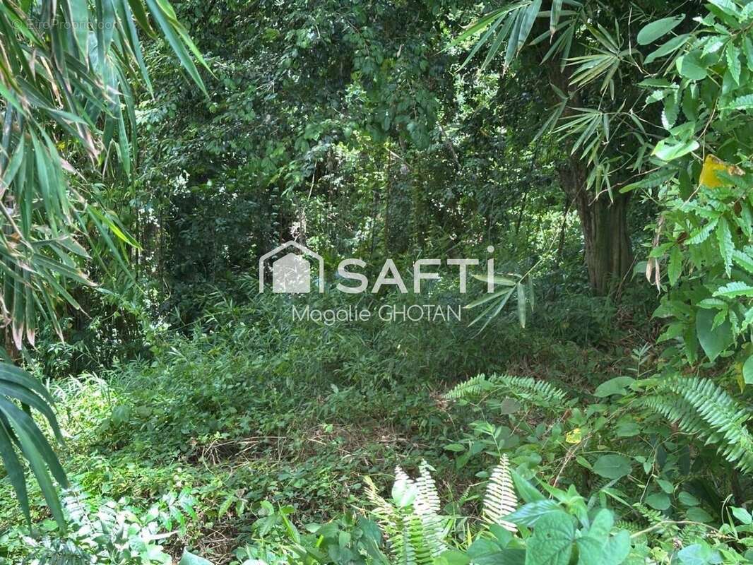 Photo 2 - Terrain à LE ROBERT