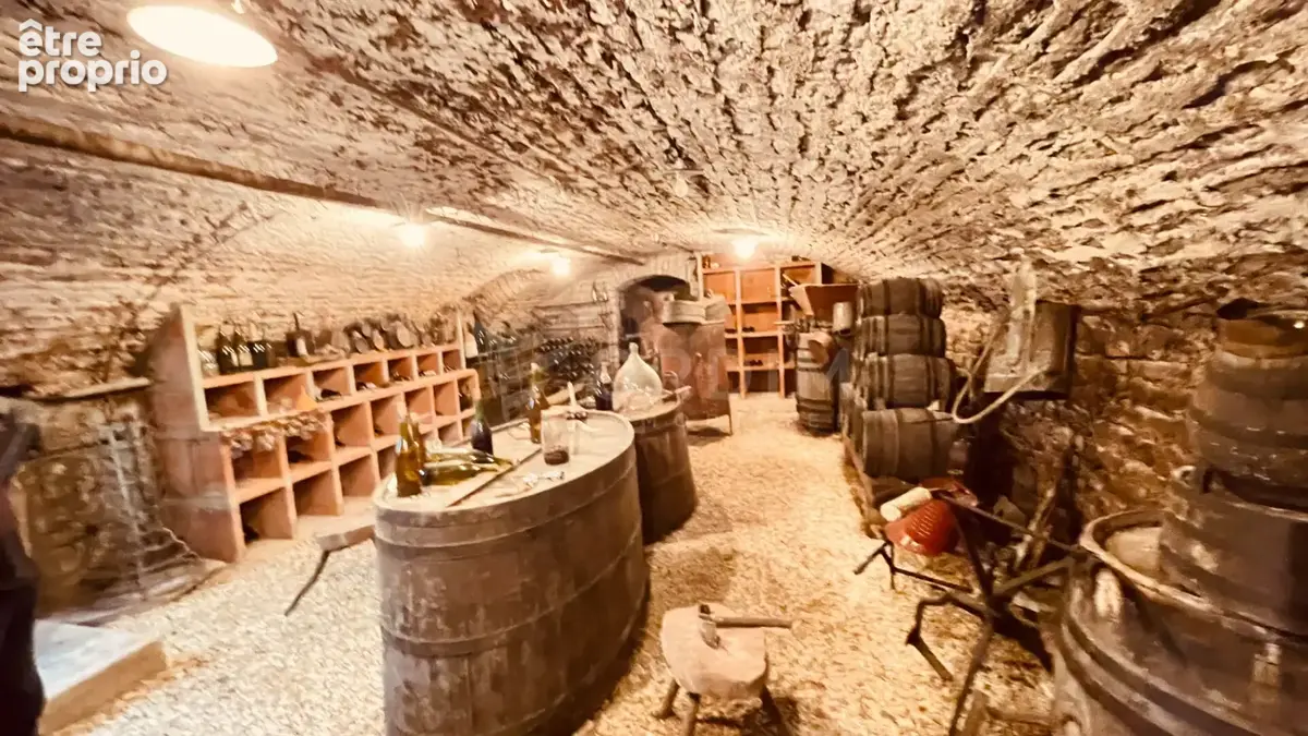 Maison de caractère avec dépendances et usage professionnel au c?ur du village - photo 13