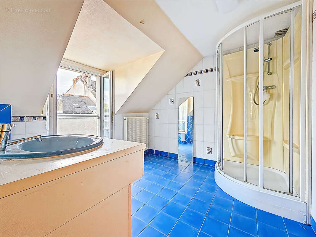 Maison Angers 6 pc 169 m2 quartier Pasteur/jardin des Plantes - photo 17