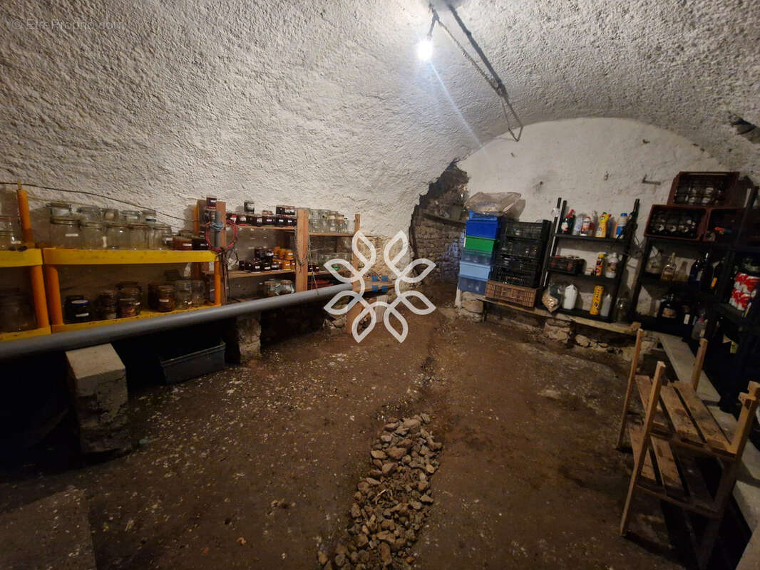 Viager libre   Maison avec terrain clos à Saint-Yvoine - photo 19