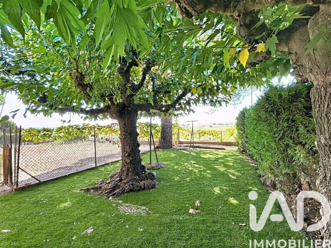 Photo 2 - Maison à ALIGNAN-DU-VENT