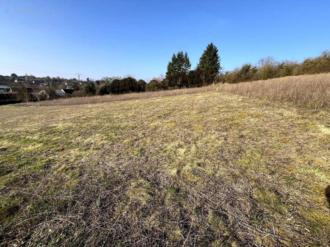 Photo 5 - Terrain à SERGINES