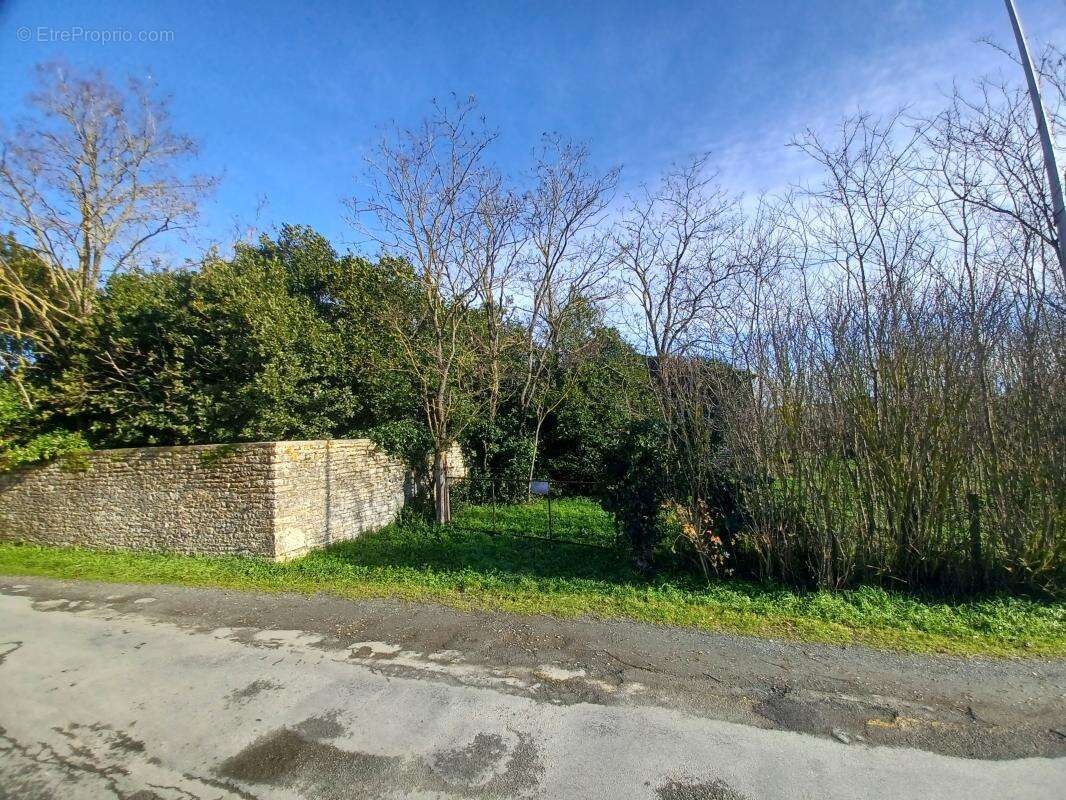 Terrain à SAINT-SAUVEUR-D'AUNIS