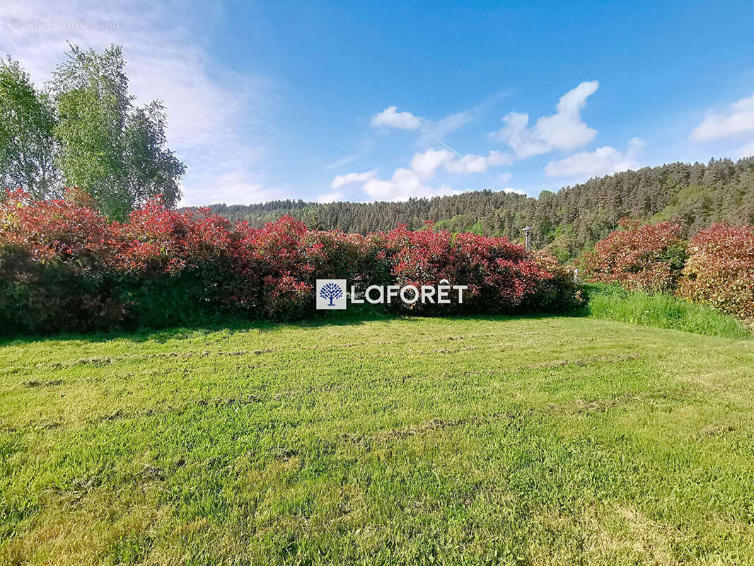 Maison à LE MALZIEU-VILLE