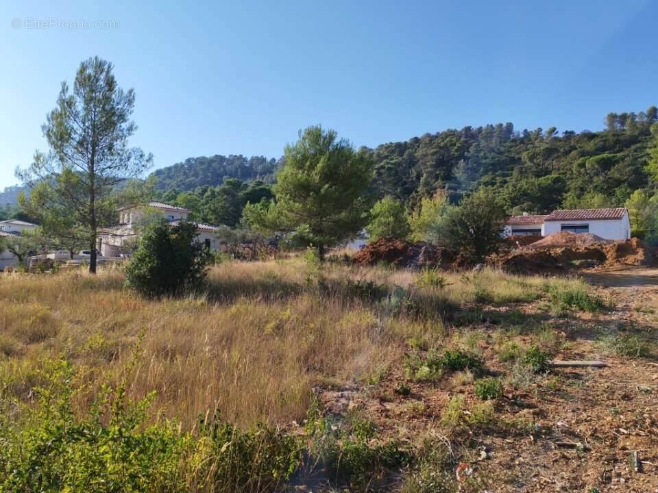 Terrain 900 m² à Camps-La-Source  - photo 7