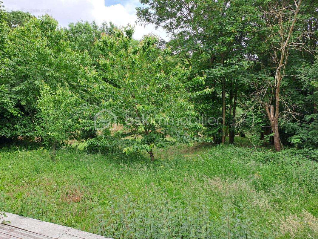 Maison à LE MESNIL-ESNARD