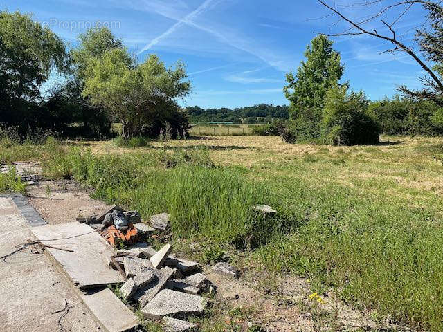 Terrain à BOURG-LE-COMTE