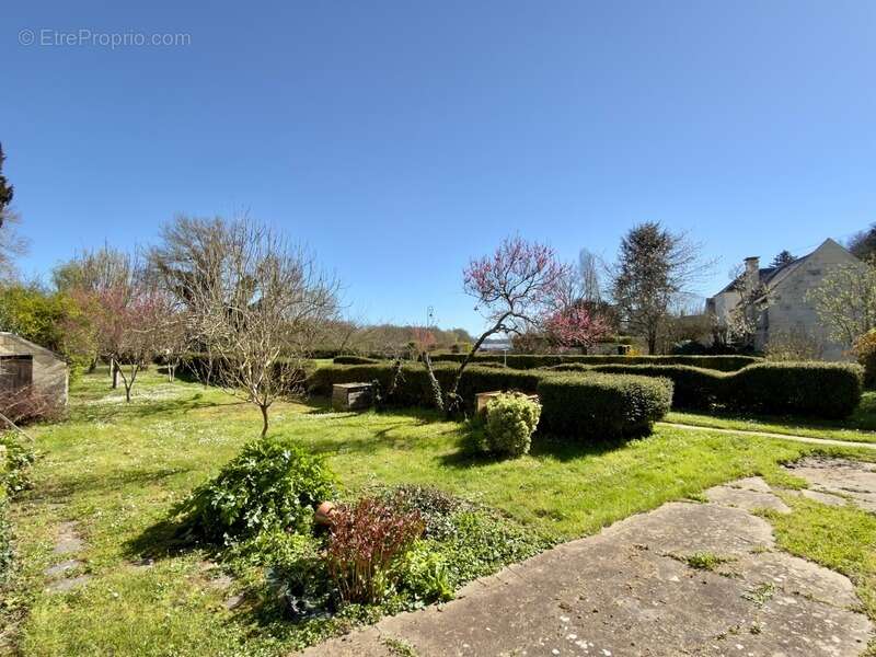 Maison à CHENEHUTTE-TREVES-CUNAULT