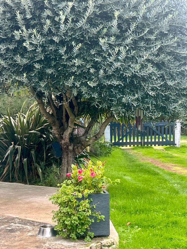 Maison à SAINT-JUST-LUZAC