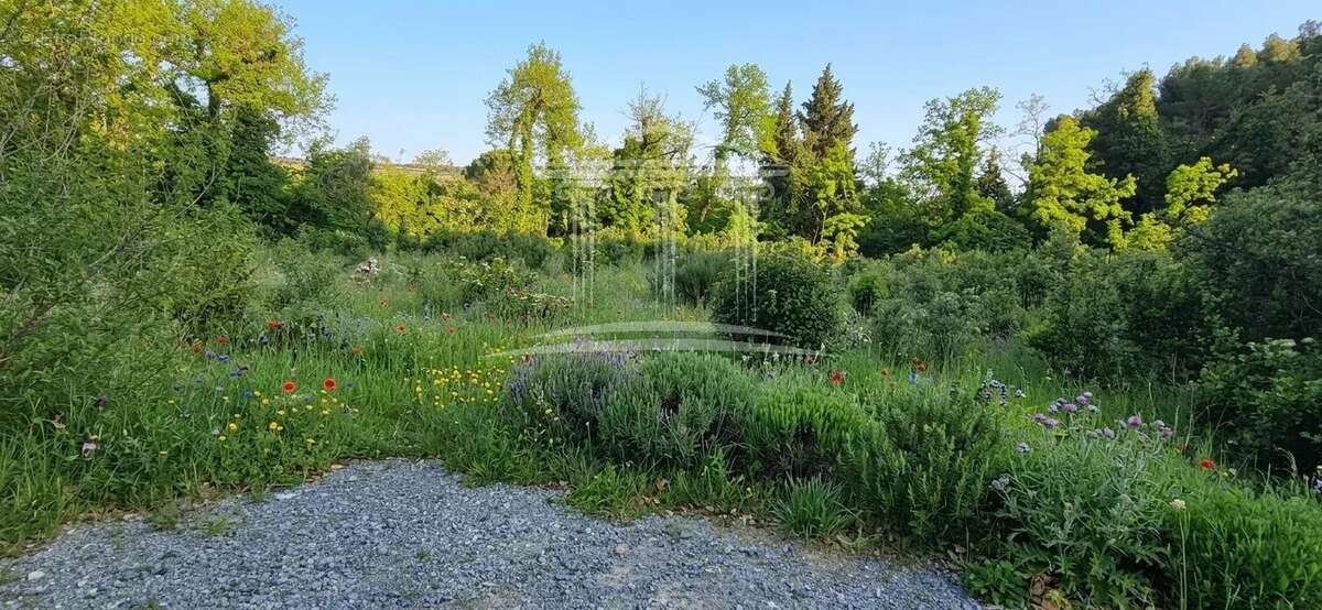 Terrain à BEDARRIDES