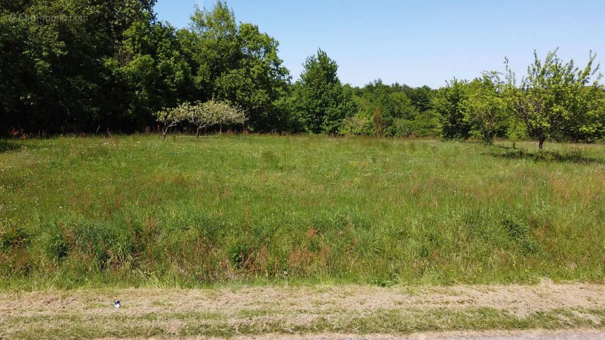 Terrain à SAINT-AVIT