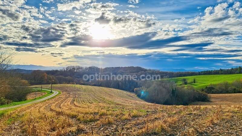Terrain à SAUVETERRE-DE-BEARN