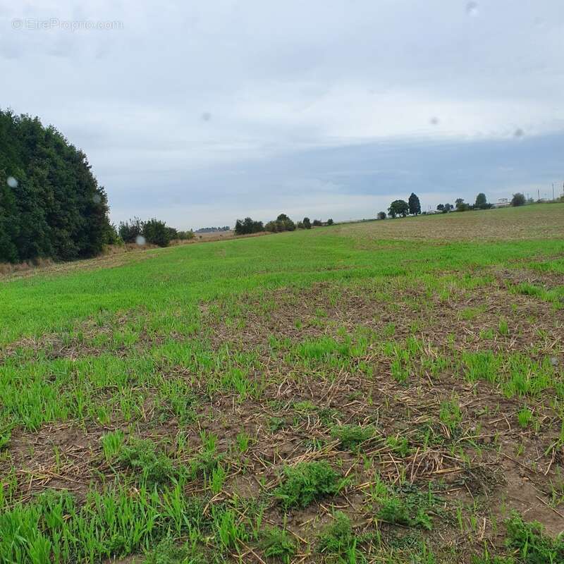 Terrain 509 m² à Ecurie  - photo 2